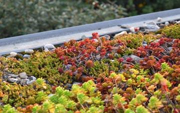 the cost of Tressait green roof installation